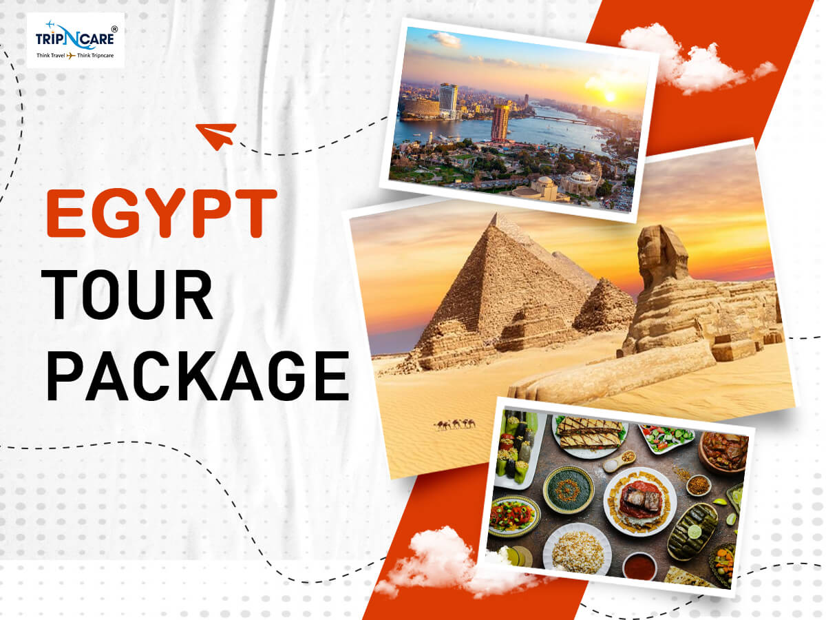 Experience the Majestic History of Egypt 