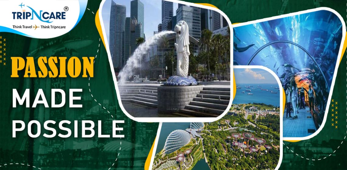 Witness the most amazing attractions of Singapore 